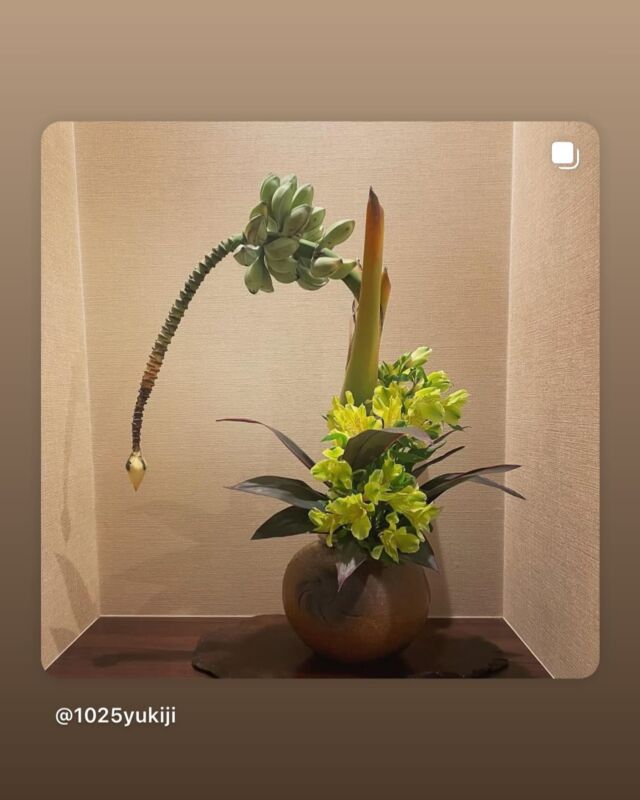 Instagram | 公益財団法人日本いけばな芸術協会