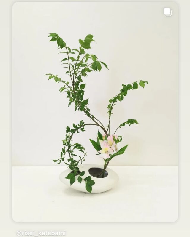 Photo Gallery | Japan Ikebana Art Association