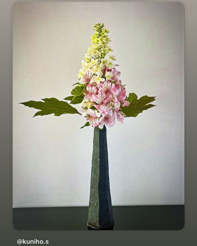6月6日はいけばなの日でした。
今年の花材である「アルストロメリア」を使ったいけばな作品をご紹介させていただきます。

Post by @kuniho.s
#repost #リポスト
・・・

6月の花

久しぶりのアップです。

お花屋さんのご好意でアルストロメリア頂きました。
休まないで挿けてって事かな？

紫陽花のような、アルストロメリアのような！

#いけばなの日2025
#6月6日 はいけばなの日

#暮らしの中のいけばな#嵯峨御流#生花#お稽古#Sagagoryu#Daikakuji temple#猫と暮らす