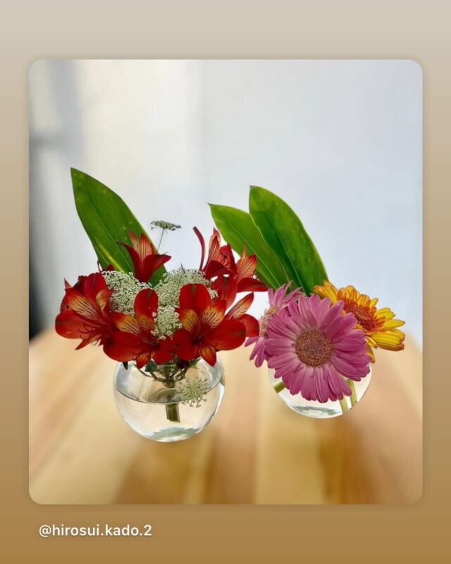 6月6日はいけばなの日でした。
今年の花材である「アルストロメリア」を使ったいけばな作品をご紹介させていただきます。

Post by @hirosui.kado.2
#repost #リポスト
・・・

6月6日はいけばなの日

お稽古のお花とアルストロメリアを合わせてみました😊

短くなっても咲いててくれる、希望は捨てないでね❣️と言ってくれてるようです
アルストロメリアの花言葉は「未来へのあこがれ」
日々の辛い事も少しでも和らげられたら嬉しいです☺️

#いけばなの日2025
#6月6日はいけばなの日
#日本いけばな芸術協会
#公益財団法人日本いけばな芸術協会
#アルストロメリア