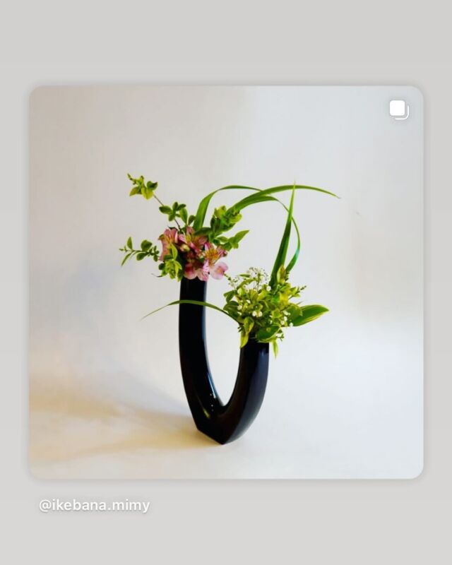 6月6日はいけばなの日でした。
今年の花材である「アルストロメリア」を使ったいけばな作品をご紹介させていただきます。

Post by @ikebana.mimy
#repost #リポスト
・・・

Ikebana day 2025
　　　　　　　　　　
　　　　　　　　　　　　　✶

.

6月6日はいけばなの日
今年のお花は「アルストロメリア」です

⭐︎

　　　　　　　　　　　　.

　　　　　　　　　*

柔らかな印象のアルストロメリアさん
花びらにも模様が入っていて鮮やか🤍

.

　　

　　　　　　　　　　　　　　　　　*
　　　　　　　　　　
花材
・アルストロメリア
・イボタ
・カスミソウ
・シャガ
・ナルコユリ

　　　　　　　　　　　　　　　　　　　.

。

閑渕流　三村由陽︎
　　　　　　　　　　
　　　　　　　　　　　　　　　　⭐︎

　　　　　　　　　　　　　　　　　　　　　　　　　　　　　　　　　　　　　　　 
　　　　　　　
　　　　　　　　　　　　✶

To celebrate Ikebana Day, I created an arrangement featuring Alstroemeria, Japanese privet, Baby’s breath, Fringed iris, and Solomon’s seal on June 6, 2025.

　　　　。

⭐︎Yuiyo Mimura, Kan-en-ryu⭐︎

　　　　　　　✯

-・-・-・-・-・-・-・-・-・-・-・-・-・-
いけばな体験 / ワークショップ / 挿花装飾
英語によるいけばなレッスン/
のお問合せはDMまたは以下アドレスまで
mimy.kmm@docomo.ne.jp
-・-・-・-・-・-・-・-・-・-・-・-・-・-

.

#6月6日はいけばなの日
#いけばなの日2025
#日本いけばな芸術協会
#公益財団法人日本いけばな芸術協会
#アルストロメリア
#いけばな
#伝統文化
#花をいける
#花いけ
#花のある暮らし
#花好きな人と繋がりたい
#閑渕流
#かんえんりゅう
#生け花
#華道

#ikebana #kado  #japaneseflowerarrangement#floweroflife #flowerstagram #embracingtheseasons#hydrangeas #japaneseart #ikebanaday #kanenryu