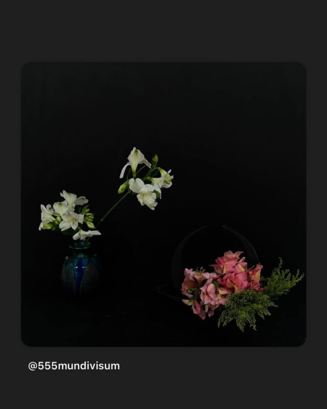6月6日はいけばなの日でした。
今年の花材である「アルストロメリア」を使ったいけばな作品をご紹介させていただきます。

Post by @555mundivisum
#repost #リポスト
・・・

#いけばなの日2025
#6月6日はいけばなの日
#アルストロメリア
#佳紅流
#華道