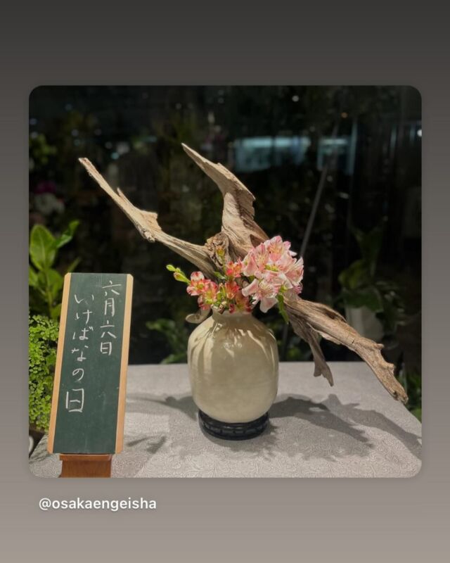 6月6日はいけばなの日でした。
今年の花材である「アルストロメリア」を使ったいけばな作品をご紹介させていただきます。

Post by @osakaengeisha
#repost #リポスト
・・・

6月6日　稽古はじめ…そして、いけばなの日🌸🍃
スタッフがいけてみました✨

今は何かと忙しい時代。昔は当たり前にされたり習われていたことが、継承する人激減のものが多くあります。華道もその一つか、と。

…昔習っていたけど当時はさほど楽しくなかった。でも、歳を重ねた今、もう一度習ってみたい！
…留学した時に、自国文化を何も披露できず、悔しい思いをしたから習いたい
…毎週決まった時間には行けないけれど、月一回なら習ってみたい
…日本の文化や歴史のお話を聞きたい

いろいろなお声をお客様からお聞きします👀
弊社では、いけばな(華道)を習えるお教室があるのですが、忙しいけど習ってみたいという方へのハードルが下がるよう、講師の方々にも柔軟にご対応いただいております。
弊社のある天満橋へ通うことが難しくても、お近くの教室をお探しする事も致しますよ。
いけばなにご興味ある方、是非お問い合わせくださいね！(体験レッスンも可能です)

一方、華道に限らず、弊社のお部屋で講座を開講したい講師の方も募集しております！お部屋の空き状況など詳しくはお問い合わせください。

#稽古 #いけばなの日 #稽古始め #いけばなの日2025 #日本文化 #japaneseculture #華道 #習い事 #伝統 #和文化#japanesetraditional #いけばな #花 #flowers #花のある暮らし #華道教室 #いけばな教室 #季節を感じる #枝物#茶花 #和花 #日本文化を継承したい #お稽古花の地方配送 #花屋 #天満橋花屋 #大阪市中央区 #天満橋