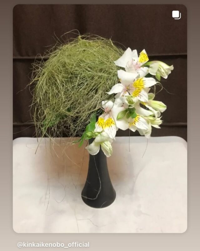 6月6日はいけばなの日でした。
今年の花材である「アルストロメリア」を使ったいけばな作品をご紹介させていただきます。

Post by @kinkaikenobo_official
#repost #リポスト
・・・

本日の錦花池坊目白教室の「いけばなの日」直前稽古を代表して、高木洋舟の作品を紹介致します、
花材⇛アルストロメリア、ニューサイラン、ゴットセフィアナ
#いけばなの日2025 #いけばなの日 #アルストロメリア #日本いけばな芸術協会 #錦花池坊目白教室 #いけばなのある暮らし #高木洋舟