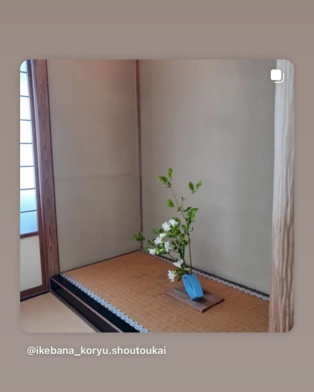 6月6日はいけばなの日でした。
今年の花材である「アルストロメリア」を使ったいけばな作品をご紹介させていただきます。

Post by @ikebana_koryu.shoutoukai
#repost #リポスト
・・・

6月6日は「いけばなの日」
今年のテーマはアルストロメリア。
ブルーベリーの爽やかな緑とともに。

#いけばなの日2025#いけばなの日#6月6日#日本いけばな芸術協会#アルストロメリア#ikebana#ikebanaday