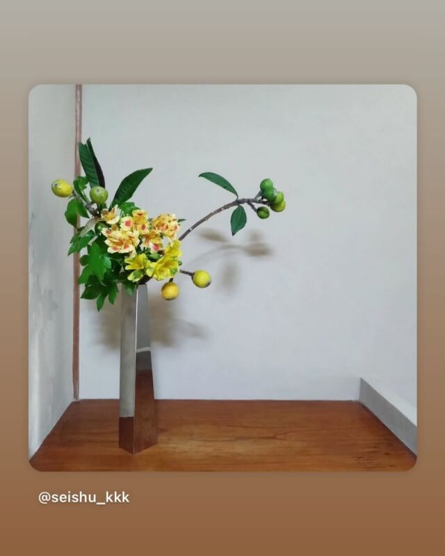 Instagram | 公益財団法人日本いけばな芸術協会