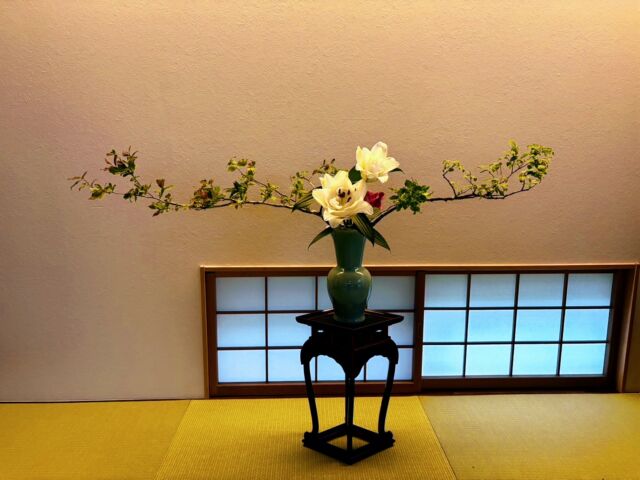 Photo Gallery | Japan Ikebana Art Association