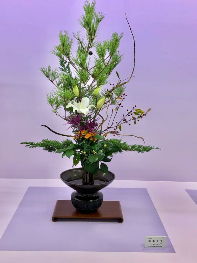 Photo Gallery | Japan Ikebana Art Association