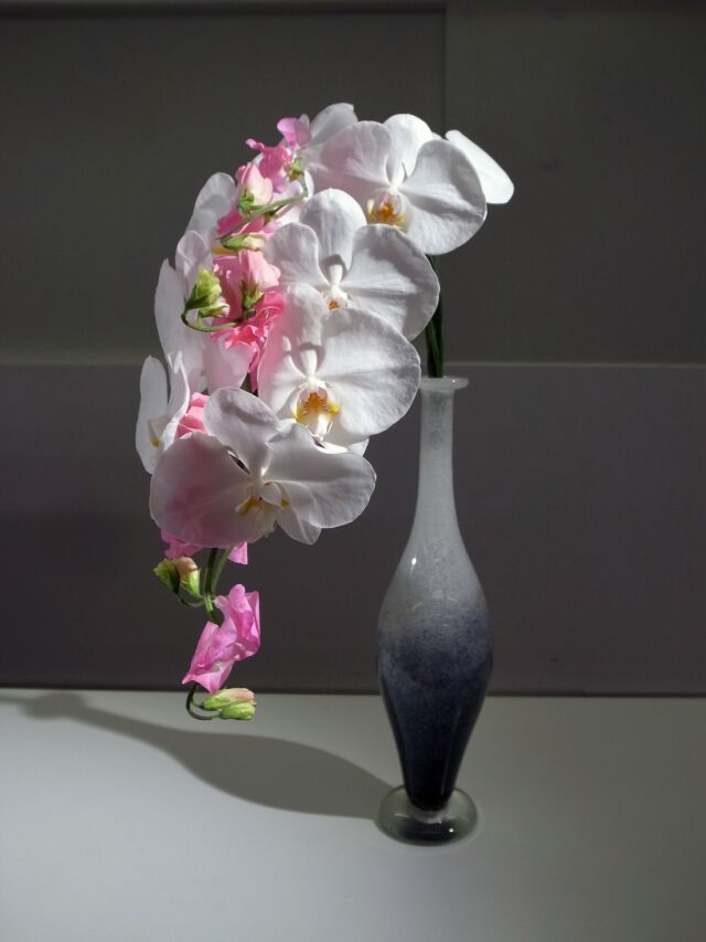 Photo Gallery | Japan Ikebana Art Association