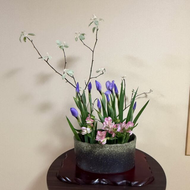 Photo Gallery | Japan Ikebana Art Association
