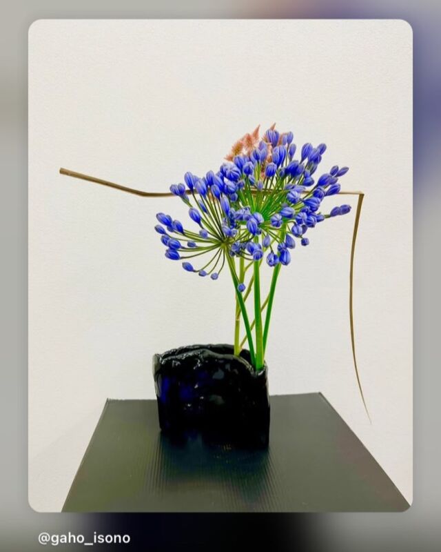 Instagram | 公益財団法人日本いけばな芸術協会