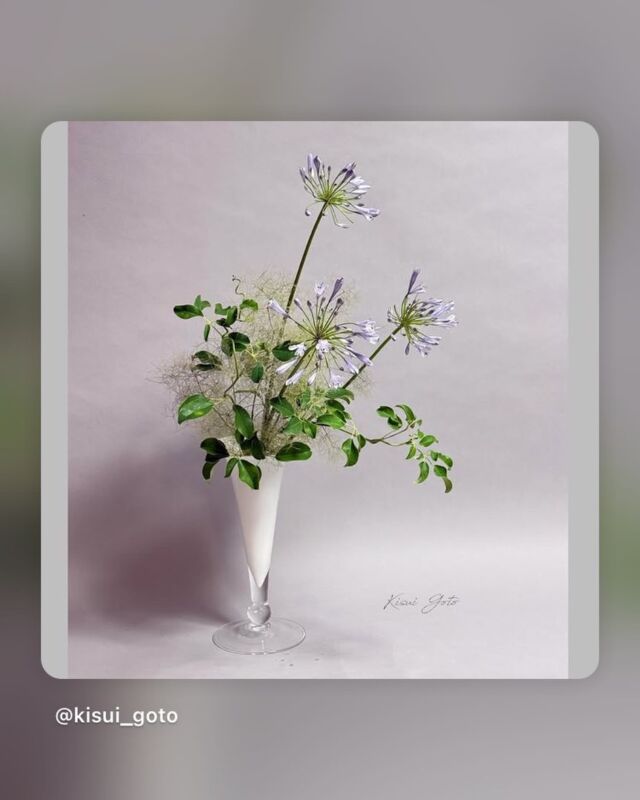 Photo Gallery | Japan Ikebana Art Association