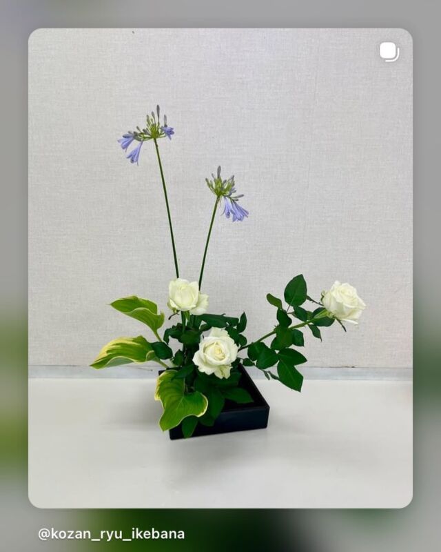 Photo Gallery | Japan Ikebana Art Association