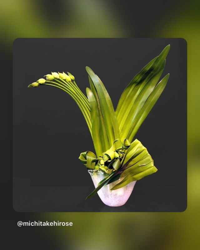 いけばな芸術　全26巻　③ ①②③セット販売です Photo Gallery | Japan Ikebana Art Association