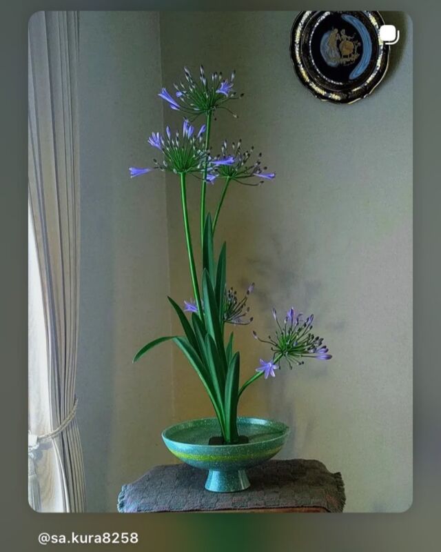 Photo Gallery | Japan Ikebana Art Association