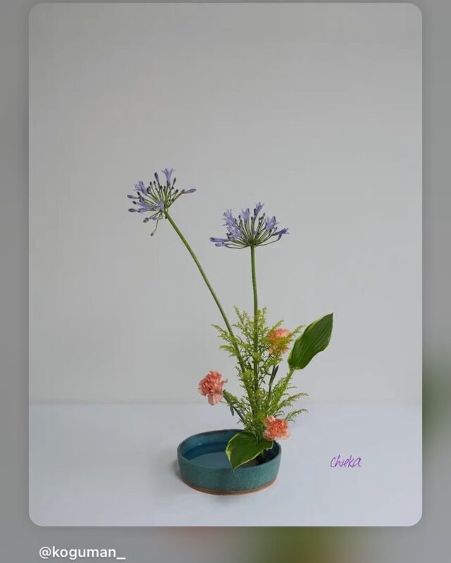Photo Gallery | Japan Ikebana Art Association