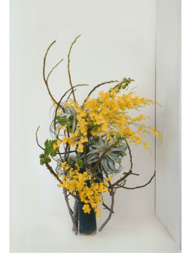 Photo Gallery | Japan Ikebana Art Association